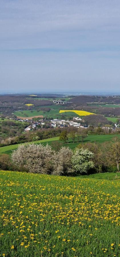 Апартаменты Gemuetliche Auszeit In Der Eifel Мехерних Экстерьер фото