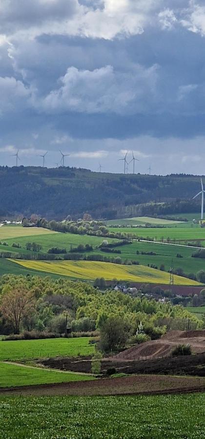 Апартаменты Gemuetliche Auszeit In Der Eifel Мехерних Экстерьер фото